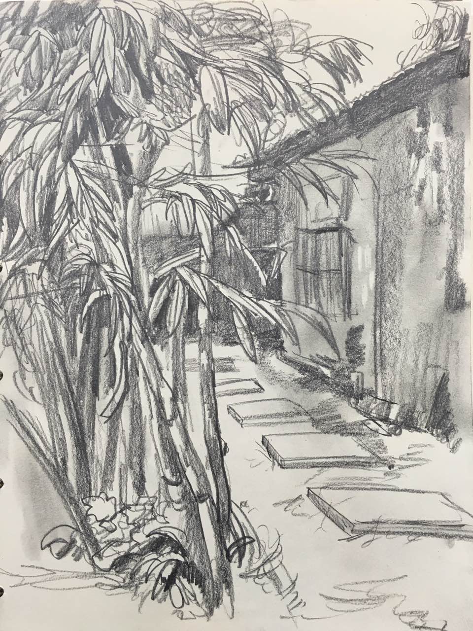 朱建路老師場景素描竹子民居作品賞析