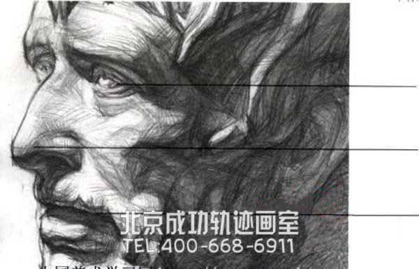 塞內卡素描教案