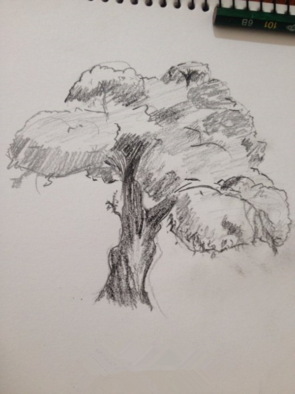 零基礎素描教程