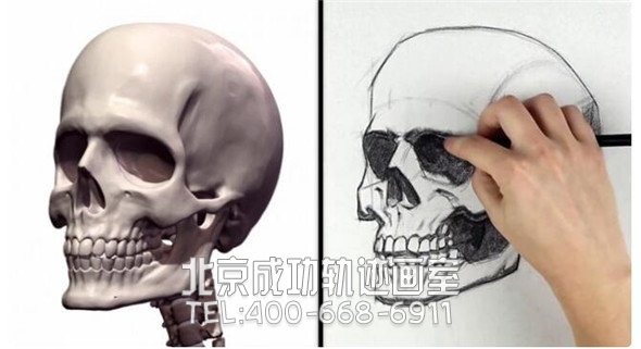 素描教程：人物頭部骨骼結構的素描畫法步驟