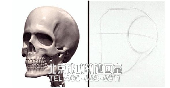 素描教程：人物頭部骨骼結構的素描畫法步驟