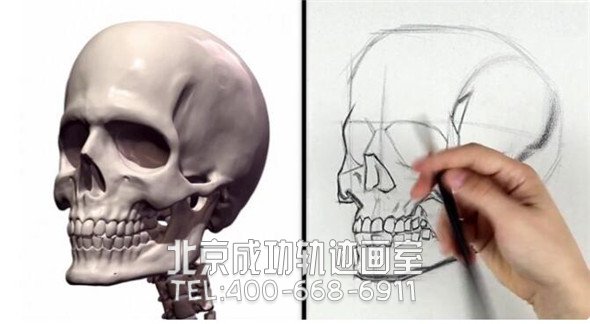 素描教程：人物頭部骨骼結構的素描畫法步驟
