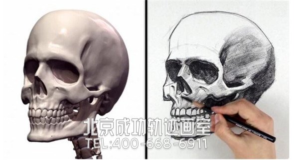 素描教程：人物頭部骨骼結構的素描畫法步驟