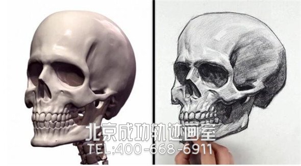 素描教程：人物頭部骨骼結構的素描畫法步驟