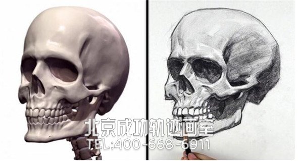 素描教程：人物頭部骨骼結構的素描畫法步驟