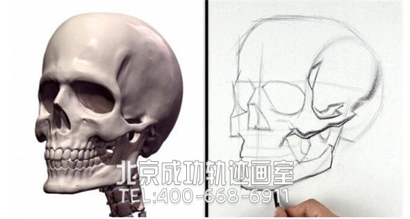 素描教程：人物頭部骨骼結構的素描畫法步驟