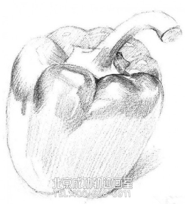 素描入門:素描青椒的畫法步驟