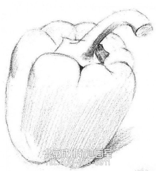 素描入門:素描青椒的畫法步驟