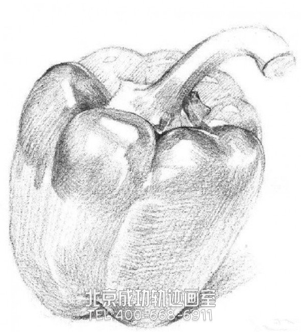 素描入門:素描青椒的畫法步驟