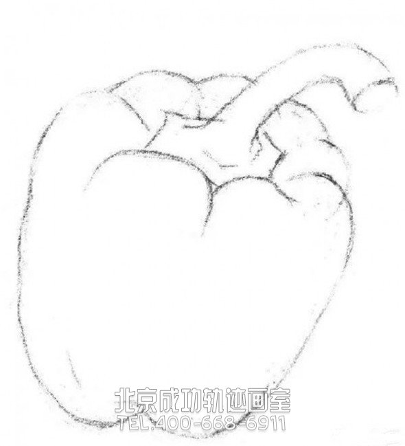 素描入門:素描青椒的畫法步驟