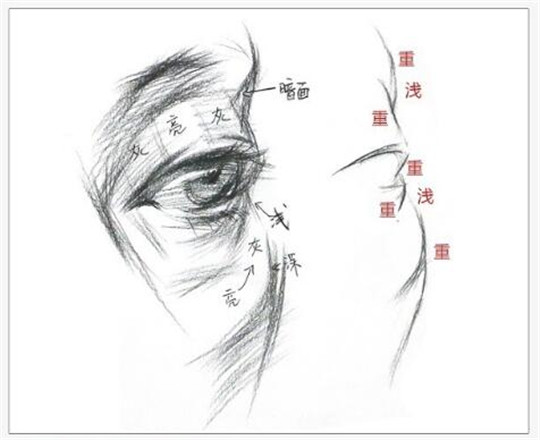 素描入門:素描眼睛精講教程