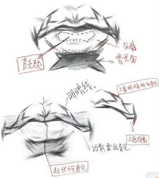 素描入門:素描嘴巴精講教程