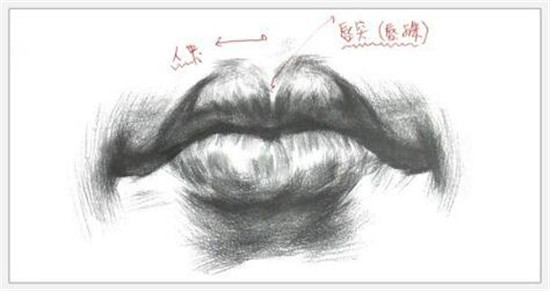 素描入門:素描嘴巴精講教程